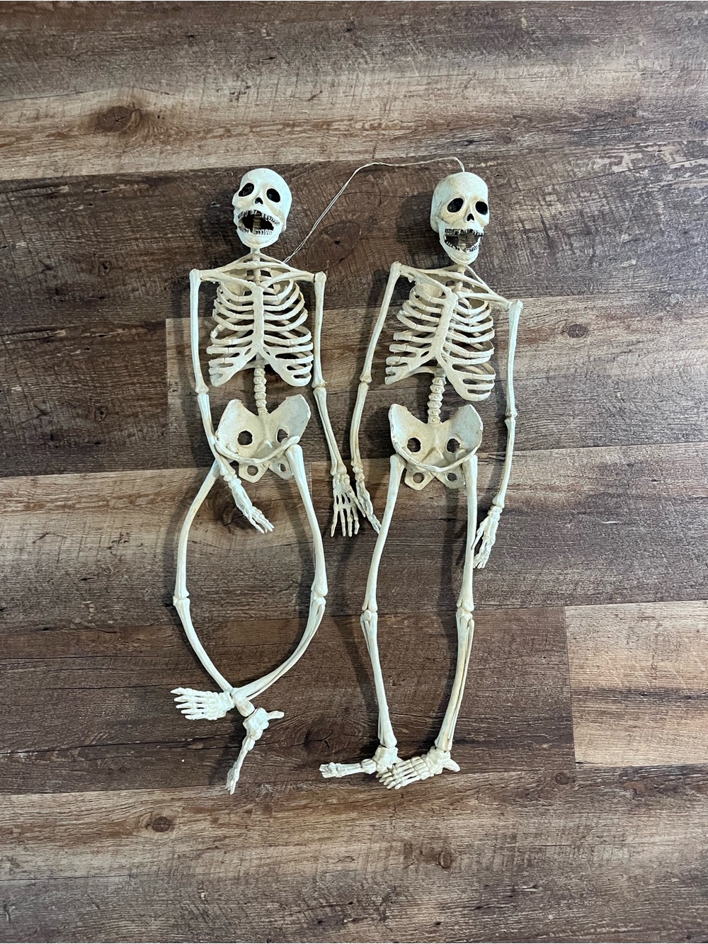 Vintage halloween skeleton decorations